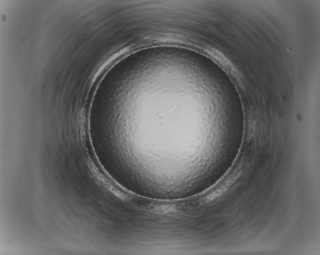 X0000086230798200703291328