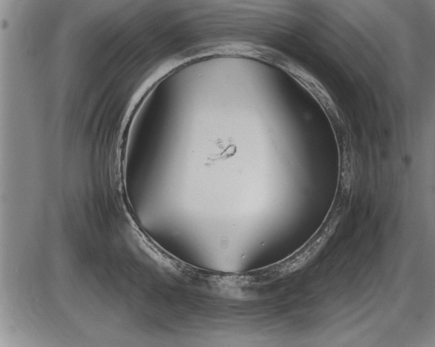 X0000086230808200703291328