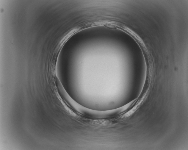 X0000086230809200703291328