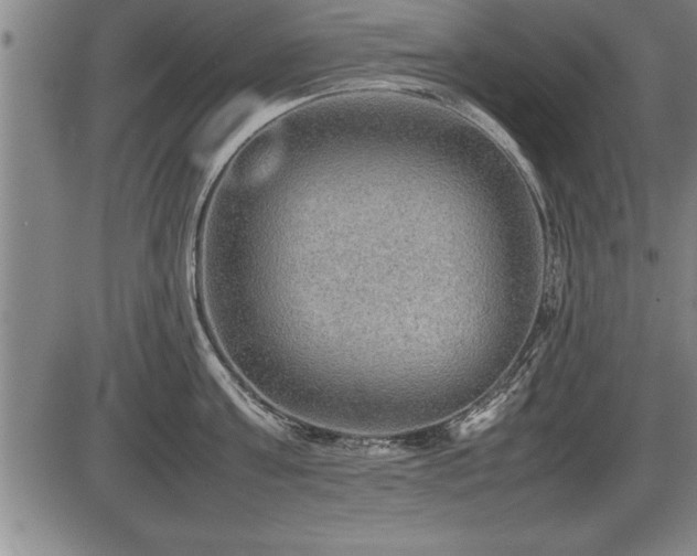 X0000086230811200703291328