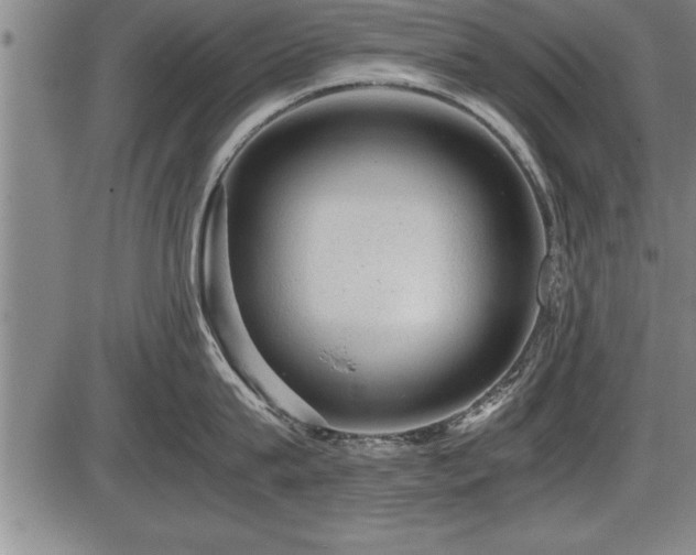 X0000086230815200703291328