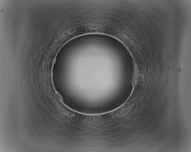 X0000086230817200703291327