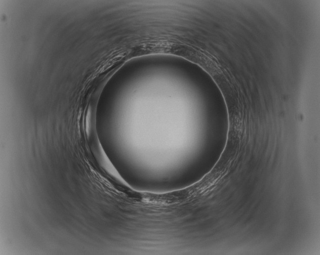 X0000086230818200703291327