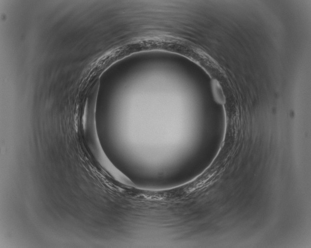 X0000086230822200703291327