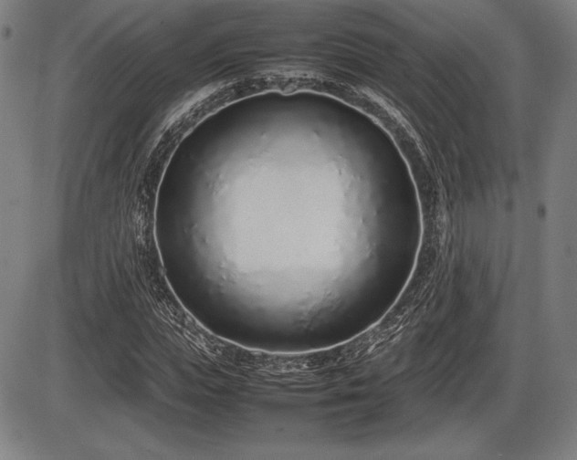 X0000086230823200703291327