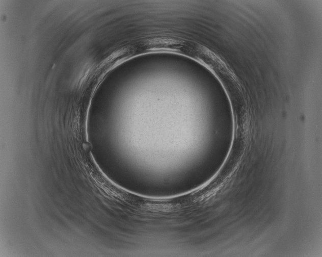 X0000086230825200703291327