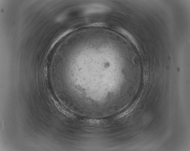 X0000086230827200703291327