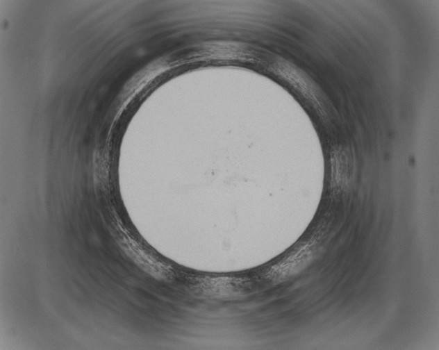 X0000086230828200703291327