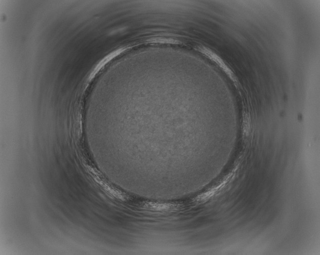 X0000086230829200703291327