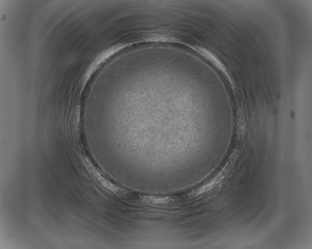 X0000086230831200703291327