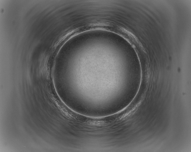 X0000086230833200703291327