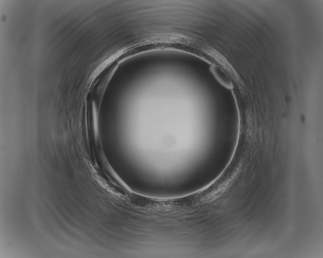 X0000086230834200703291327