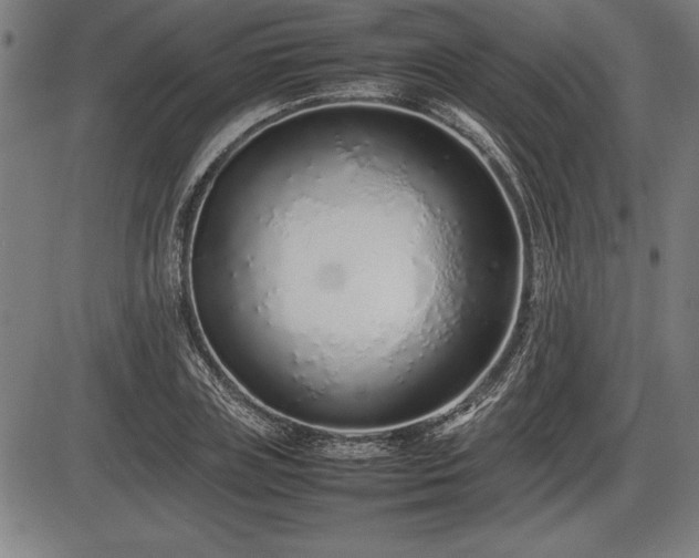X0000086230835200703291327