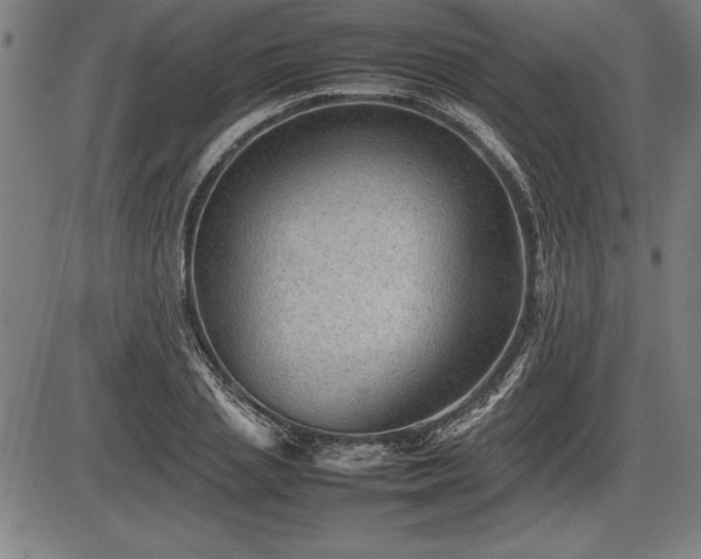 X0000086230837200703291327