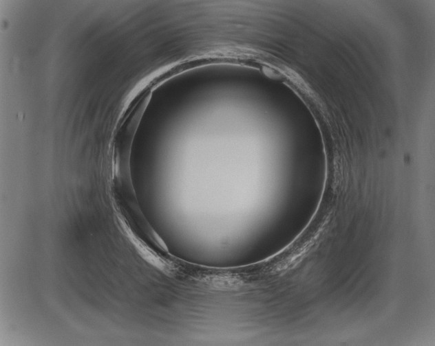 X0000086230838200703291327