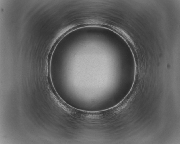 X0000086230839200703291327