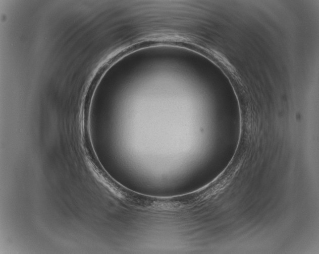 X0000086230840200703291327
