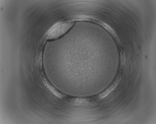 X0000086230842200703291327