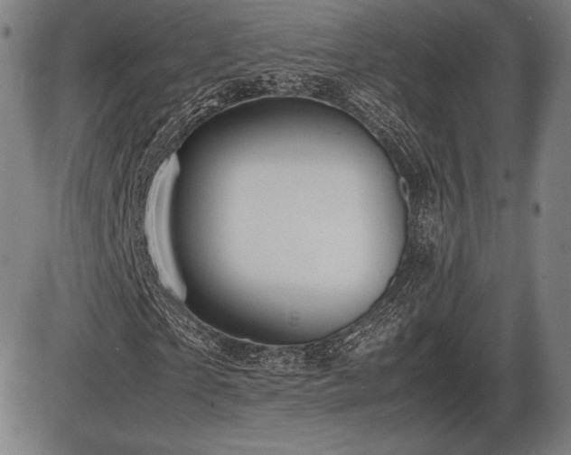X0000086230865200703291327