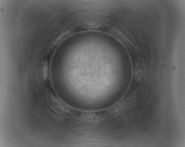 X0000086230866200703291327