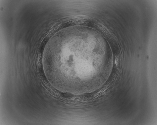 X0000086230867200703291327