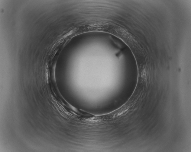 X0000086230868200703291327