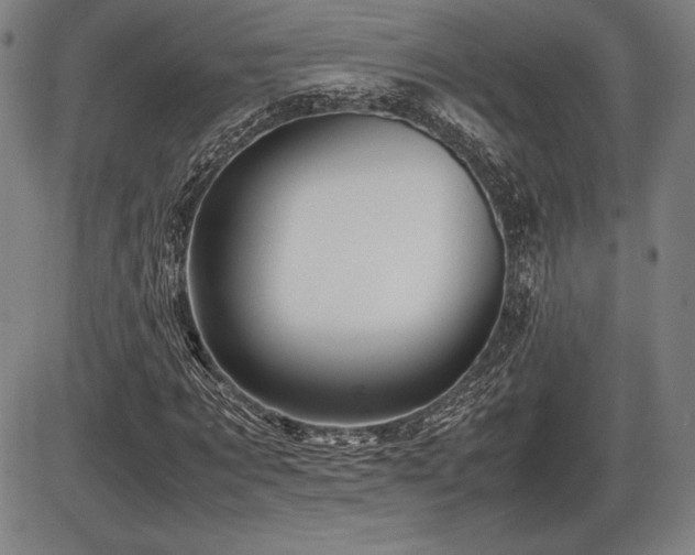 X0000086230869200703291327