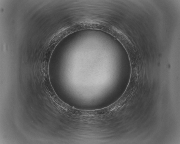 X0000086230870200703291327