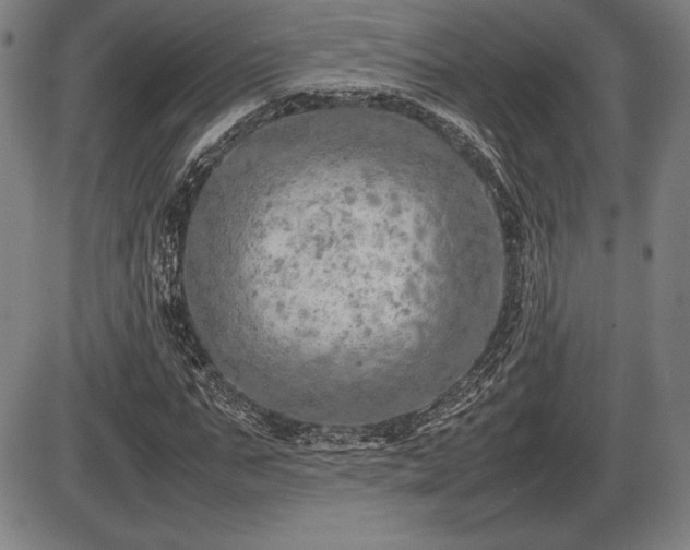 X0000086230871200703291327
