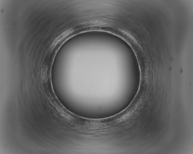 X0000086230873200703291327
