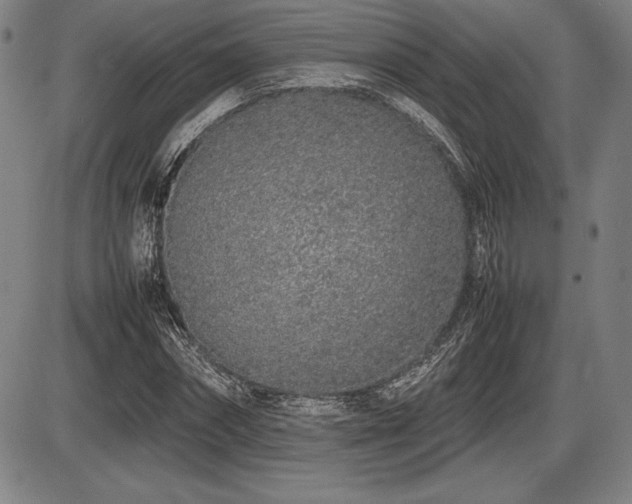 X0000086230874200703291327