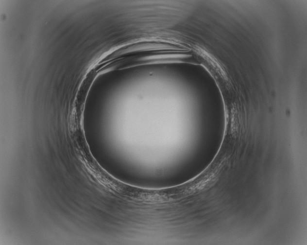 X0000086230876200703291327
