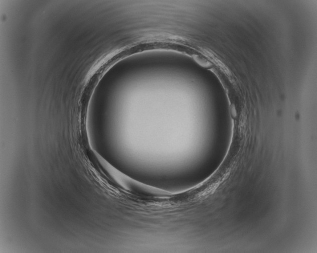 X0000086230877200703291327