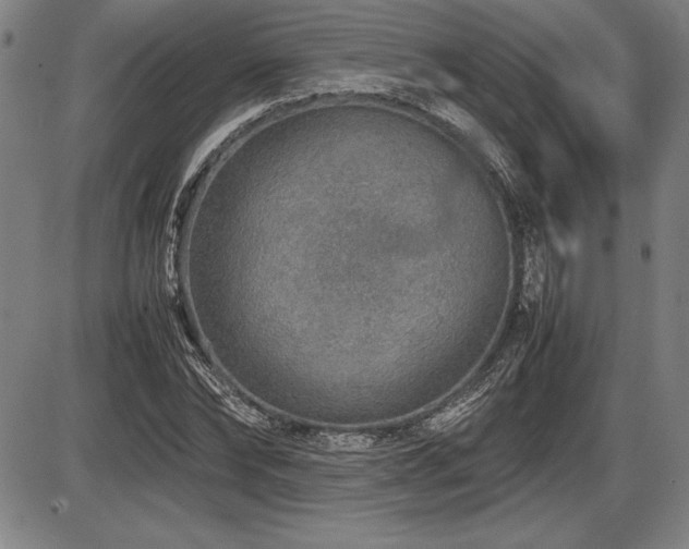 X0000086230878200703291327