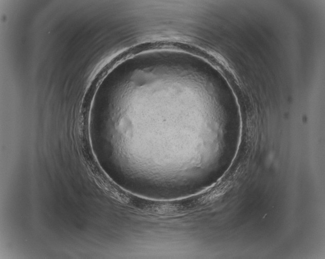 X0000086230879200703291327