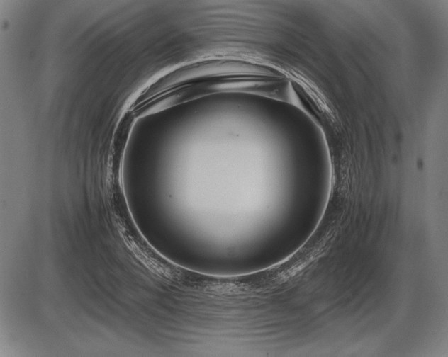 X0000086230880200703291327