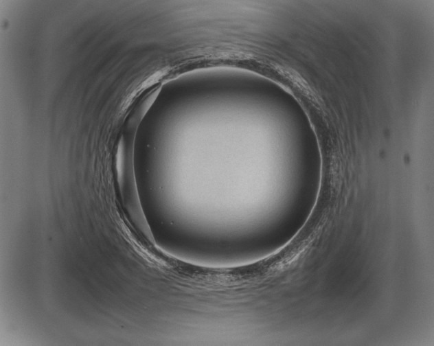 X0000086230881200703291327