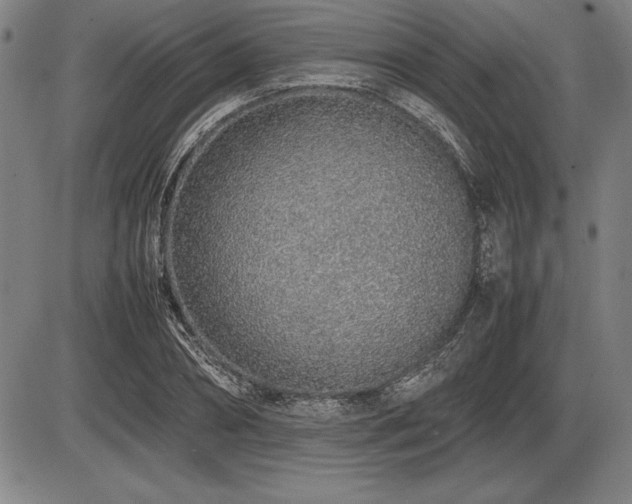 X0000086230882200703291327