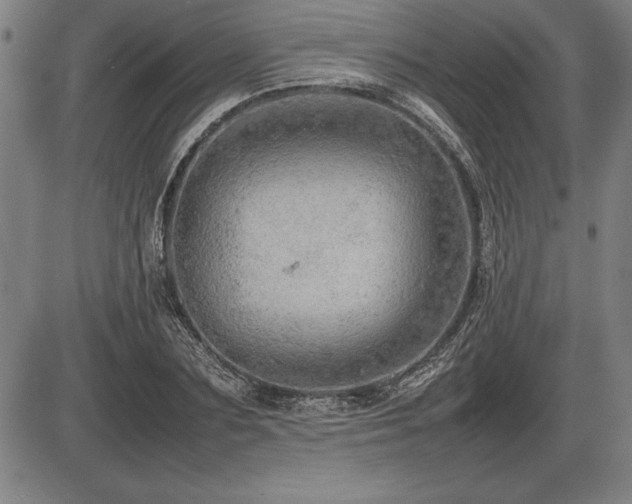X0000086230883200703291327