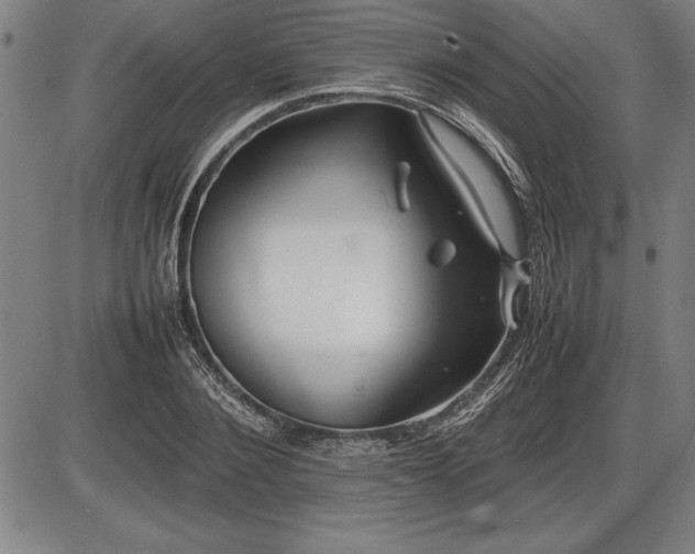 X0000086230884200703291327