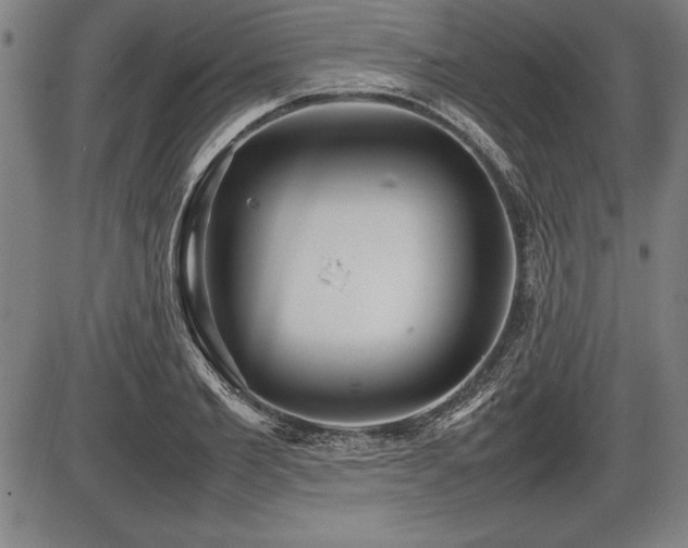 X0000086230885200703291327