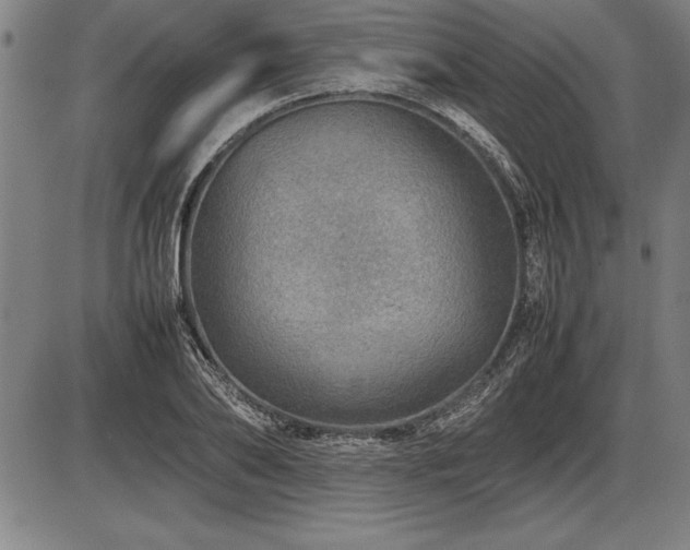 X0000086230886200703291327