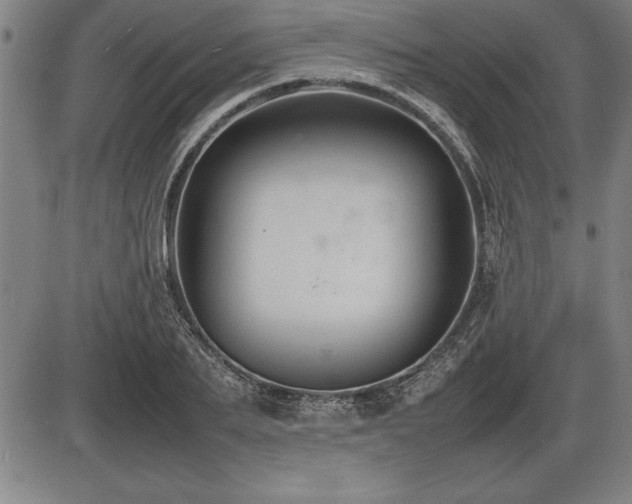 X0000086230887200703291326