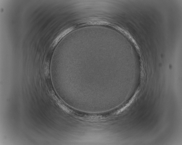 X0000086230889200703291326