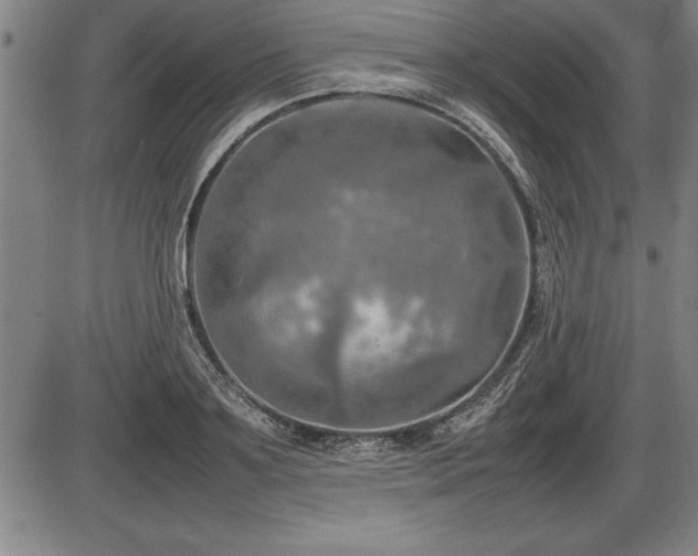 X0000086230891200703291326