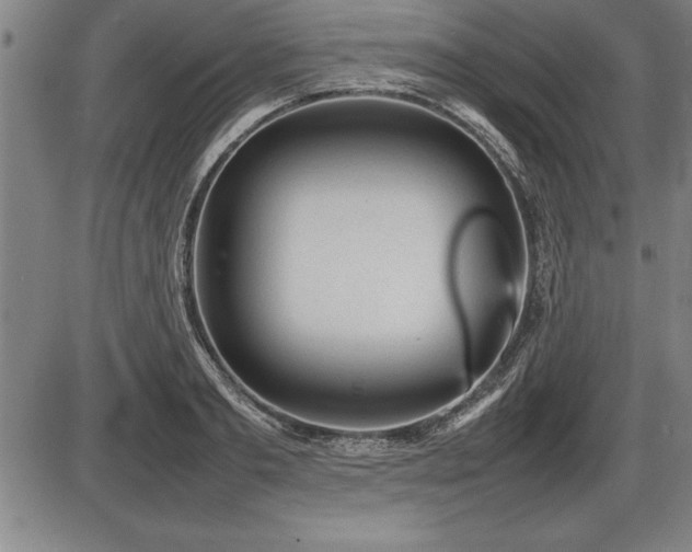 X0000086230893200703291326