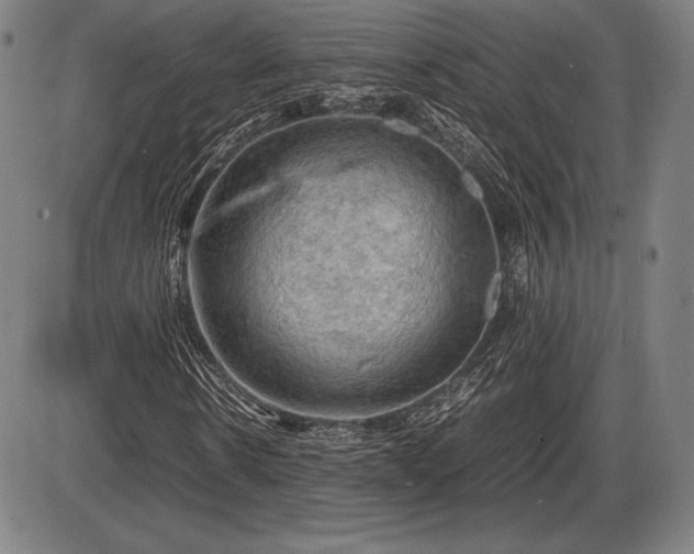 X0000086230914200703291325