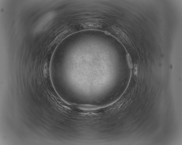 X0000086230915200703291325