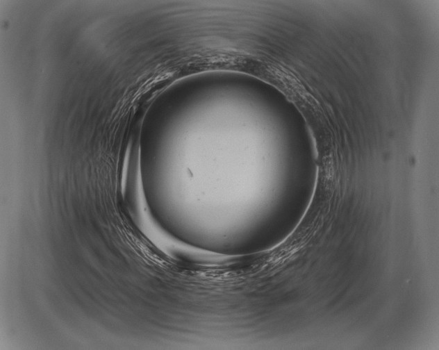X0000086230916200703291325