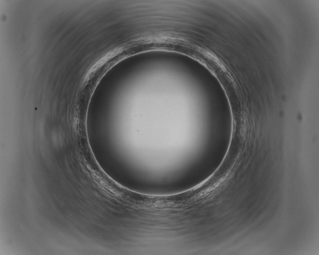 X0000086230922200703291325